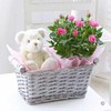 Baby Girl Gift Basket 